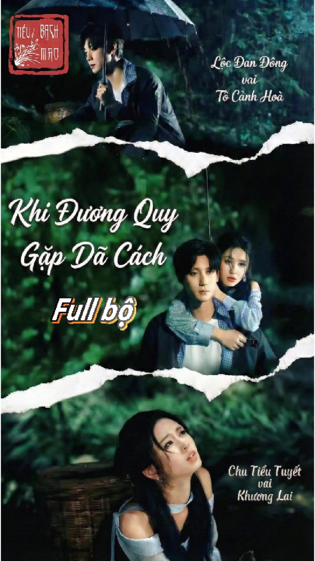 Khi Đương Quy Gặp Dã Cách